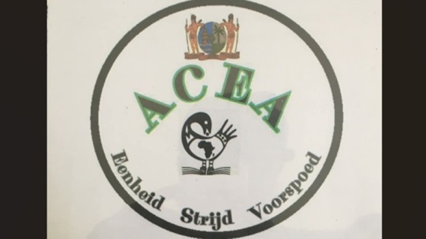 Eerste Afro-Caraïbische Educatie Academie van start: bewustwording door educatie