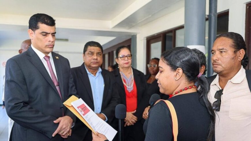 Organisaties eisen ontslag van procureur-generaal wegens vermeend plichtsverzuim en achteloos