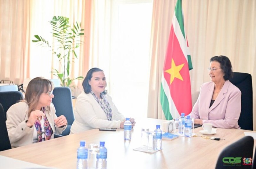 IDB bespreekt ontwikkelingsvisie en prioriteiten komende drie jaar met president