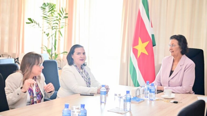 President Simons en IDB wisselen van gedachten over ontwikkelingsvisie en prioriteiten