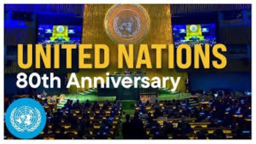 VN toe aan reorganisatie