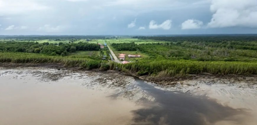 Suriname tussen regenwoud en ruwe olie: Kan het land beide behouden?