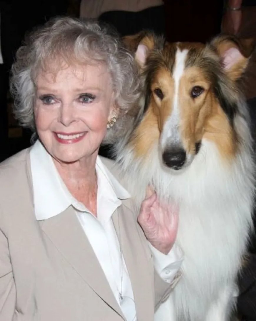 June Lockhart (100) overleden tv-icoon uit ‘Lassie’ en ‘Lost in Space’