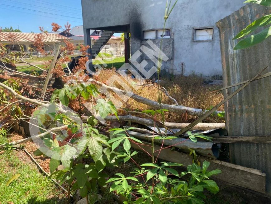 Boom valt op vrouw tijdens houtkapwerkzaamheden