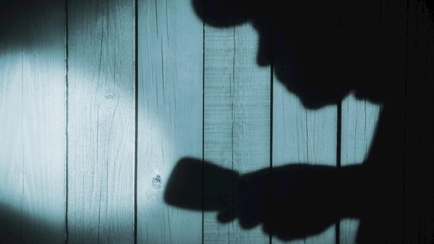 Kluis met 40.000 euro gestolen bij inbraak