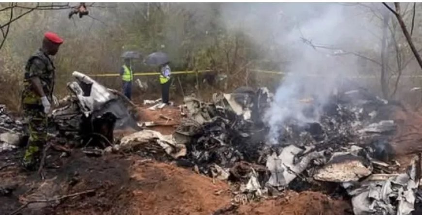 Keniaans vliegtuig met buitenlandse toeristen stort neer, 11 doden