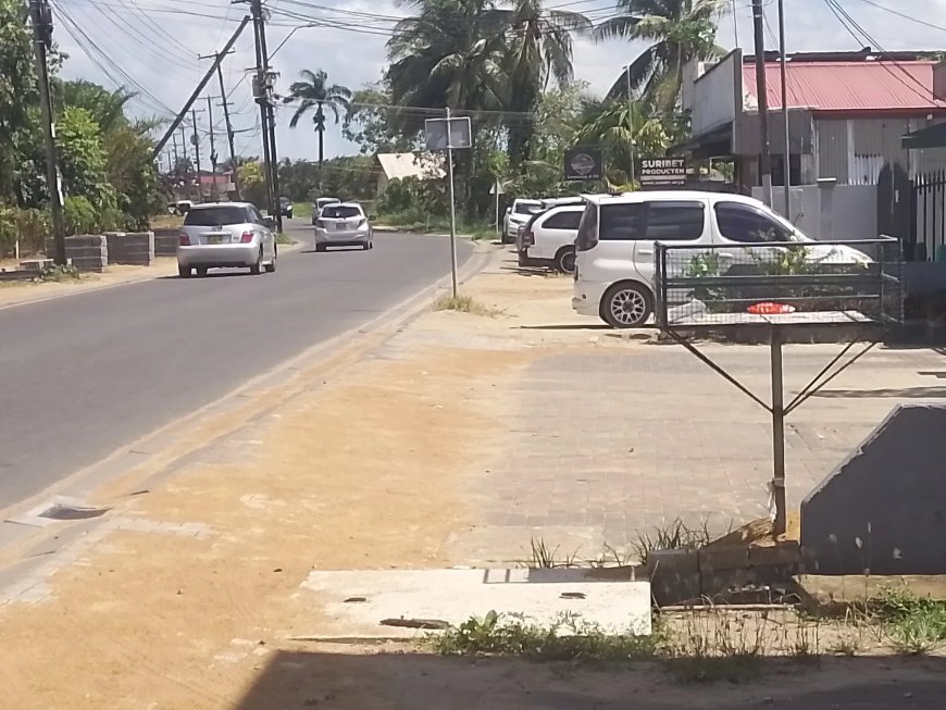 Studenten Natin bezorgd over onveilige situatie op Leysweg, Tammenga
