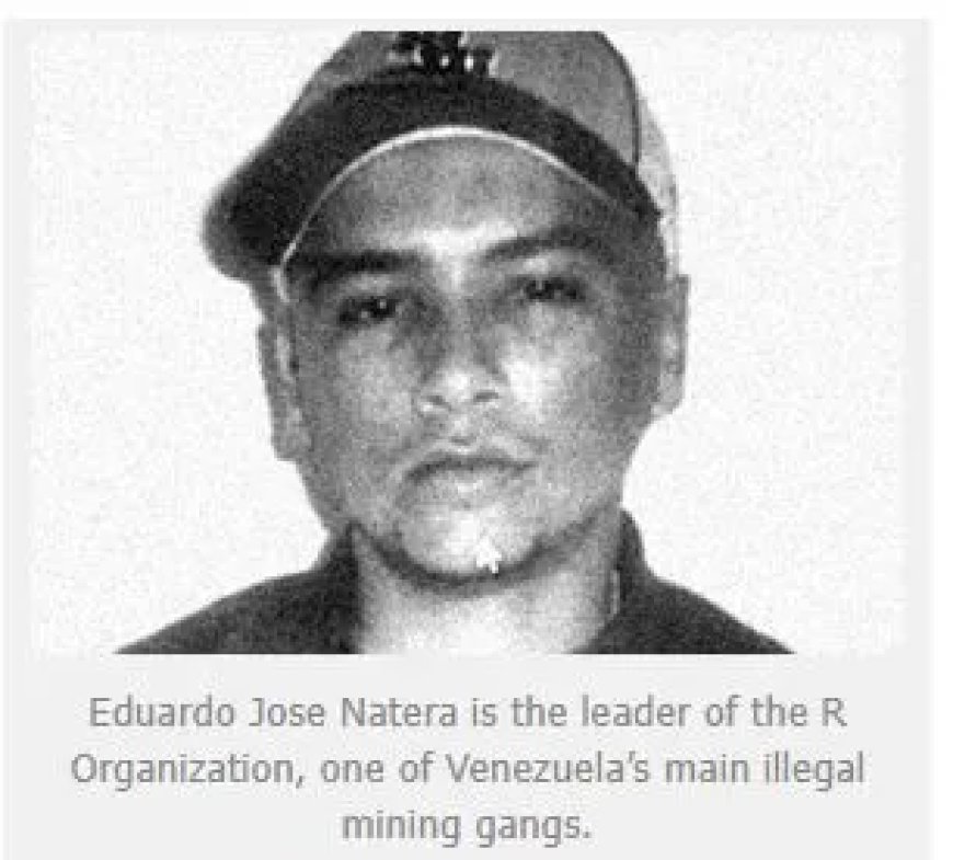 Venezolaanse bomverdachte lid van ‘R-organisatie’ gelinkt aan gewelddadige mijnbende