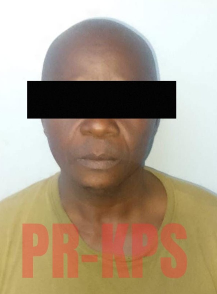 Mogelijk brein gewapende beroving Chinees goudbedrijf opgepakt