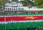 Duizenden jongeren kleuren Onafhankelijkheidsplein met Surinaamse vlag – Een foto impressie