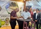 InVitroPlants Grassalco tekent intentieverklaring met Guyanees landbouwbedrijf