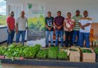 LVV schenkt ruim 1000 plantjes aan Pikin Saron om voedselonafhankelijkheid te stimuleren