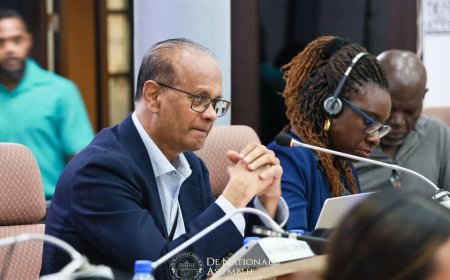 VES en DNA buigen zich over begroting 2026