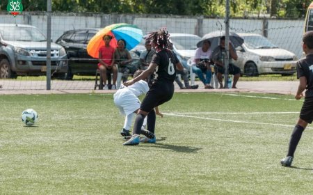 ???????????????????????????????????????????????? ???????????????????? ???????????????????????????????? ???????????? ???????????????????????????????????? ???????????????????? ????????????-????????????????????????????????????????