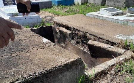 Nabestaanden bezorgd: Uitvaartondernemer Hennep (her)start grafruiming Rusthof