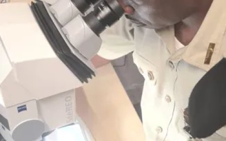 Koninklijke Marechaussee en Korps Militaire Politie Suriname versterken samenwerking in docum