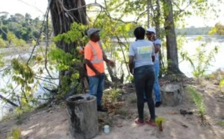 Kwinti-gemeenschap ontwikkelt alternatieven voor een duurzame toekomst  