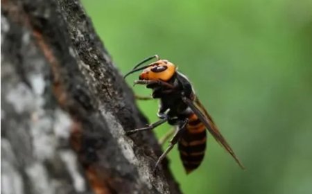 ???????????????????? ???????? ???????????????? ???????????????????????????????????? ???????? ???????????????????????? ???????????????? ???????????????????????????????????? ???????????????????????????? ???????? ????????????????