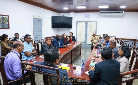 Vereniging van Boothouders gehoord door DNA-GBB-commissie