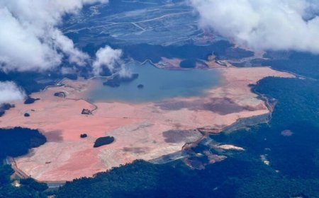 Suriname, de Amazone en de wereld op weg naar COP30 in Belém