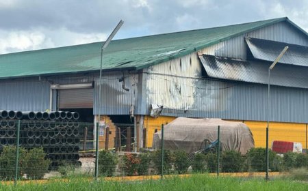 Loods Haukes N.V. getroffen door brand