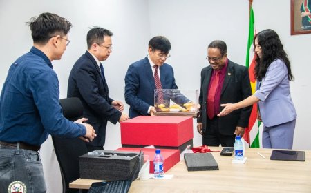 ???????? Suriname wil betere deal met bauxietgigant Chinalco ????????