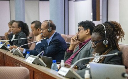 Vernieuwde kabinetsbegroting toegelicht aan DNA door Kabinetsdirectrice 