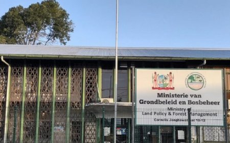 Gronduitgifte blijft onrechtmatig: wie wordt verantwoordelijk gehouden?