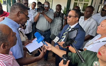 Reparatiecomité wil gesprek met koning over herstel slavernijverleden