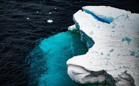 Gletsjer op Antarctica verliest in 2 maanden helft van totale omvang