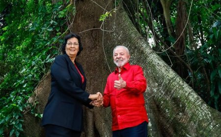 Suriname schaart zich achter Braziliaans initiatief voor bescherming van tropische bossen