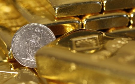 Fransman vindt fortuin aan goud in zijn achtertuin