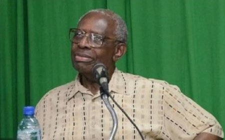 Venetiaan: leraar-wiskundige die kunst en integriteit verenigde