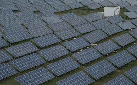 China’s CO2-uitstoot piekt later dan verwacht, ambitieuze klimaatdoelen