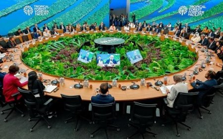 Suriname steunt oprichting van Tropical Forests Forever Facility in Belém