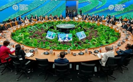 Simons: Bossen moeten eerlijk worden beloond voor hun bijdrage aan het klimaat