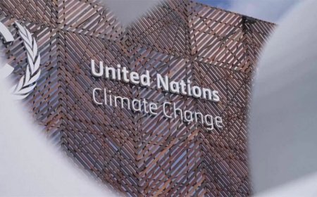 Wat u moet weten over COP30, de VN-klimaatconferentie van dit jaar