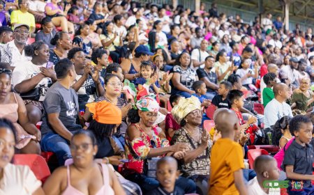 Indrukwekkende taptoe symbool van vaderlandsliefde