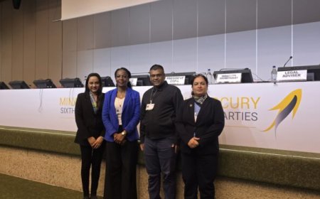 Suriname benadrukt inzet voor kwikvrije economie tijdens COP-6 in Genève