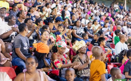 Nationaal Leger viert 50 jaar onafhankelijkheid met spectaculaire taptoe