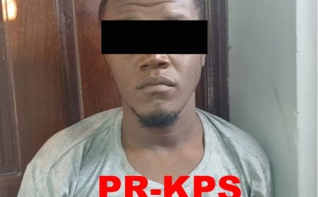 Verdachte zware mishandeling na acht maanden aangehouden