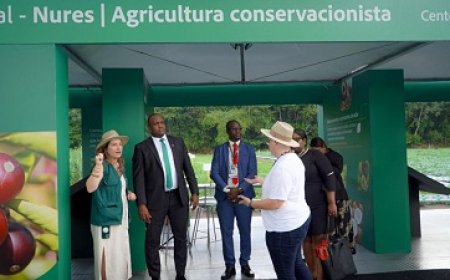 Bouva bezoekt Braziliaans Instituut voor agrarische productie en onderzoek