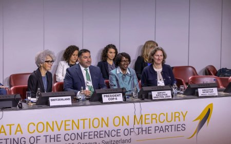 Minamata kwikverdrag pakt goudmijncrisis niet aan