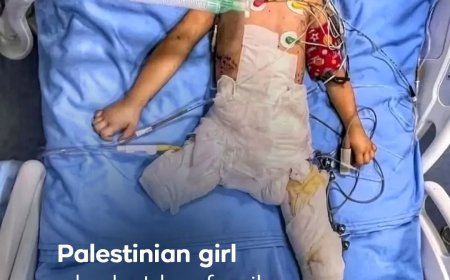 Israël heeft meer dan 70.000 Palestijnen gedood