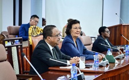 President en vicepresident: geen meningsverschil over Chinalco