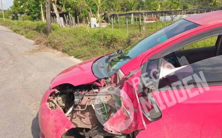 Dronken automobilist rijdt EBS-mast in tweeën op Tout Lui Fautweg