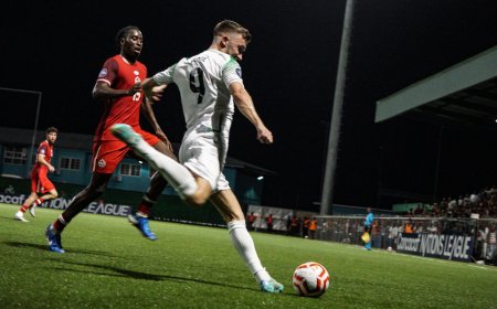 Natio trekt deur dicht voor Dylan Vente