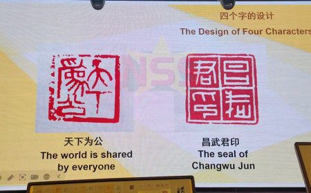 Van keizerlijk symbool tot persoonlijke creatie: de magie van het zegelsnijden