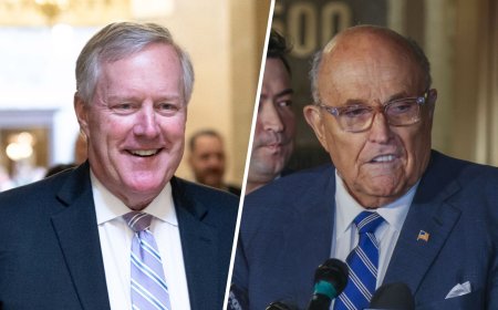 Trump verleent gratie aan medestanders die verkiezingsuitslag van 2020 bestreden