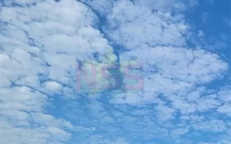 Veel bewolking met wat regenbuien in de middag